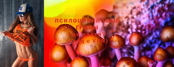 мяу мяу кристалл Нефтекумск