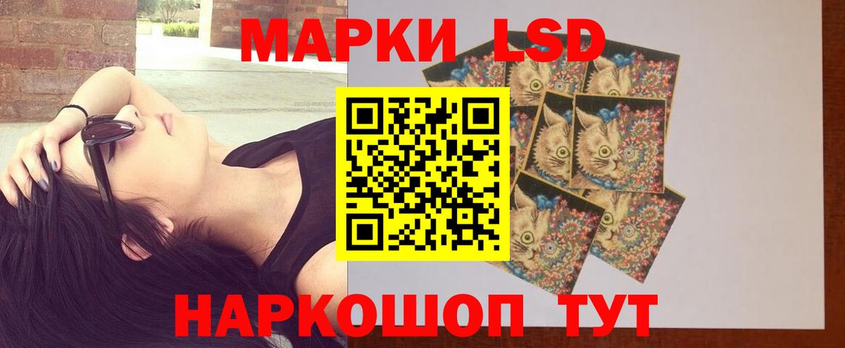 omg ТОР  Вход с VPN  LSD-25 экстази ecstasy  Каменка  LSD-25 экстази кислота 
