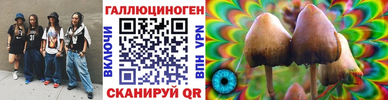 Псилоцибиновые грибы мицелий Каменка