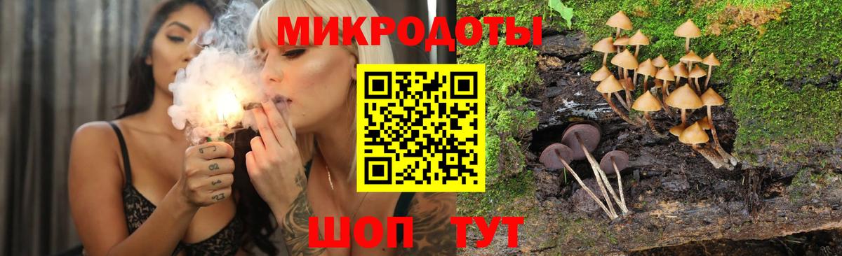 Галлюциногенные грибы Magic Shrooms Каменка